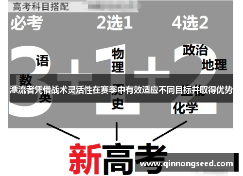 漂流者凭借战术灵活性在赛季中有效适应不同目标并取得优势