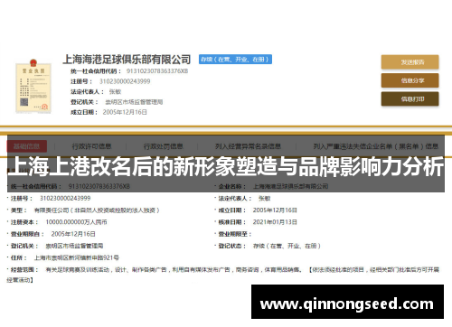 上海上港改名后的新形象塑造与品牌影响力分析