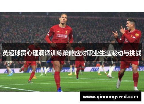 英超球员心理调适训练策略应对职业生涯波动与挑战
