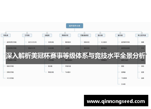深入解析美冠杯赛事等级体系与竞技水平全景分析