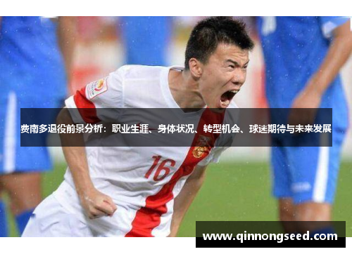 费南多退役前景分析：职业生涯、身体状况、转型机会、球迷期待与未来发展