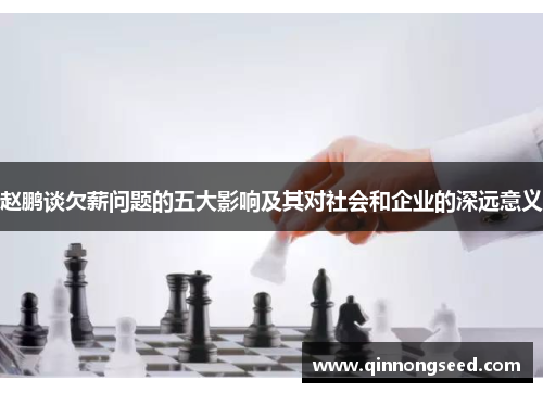 赵鹏谈欠薪问题的五大影响及其对社会和企业的深远意义